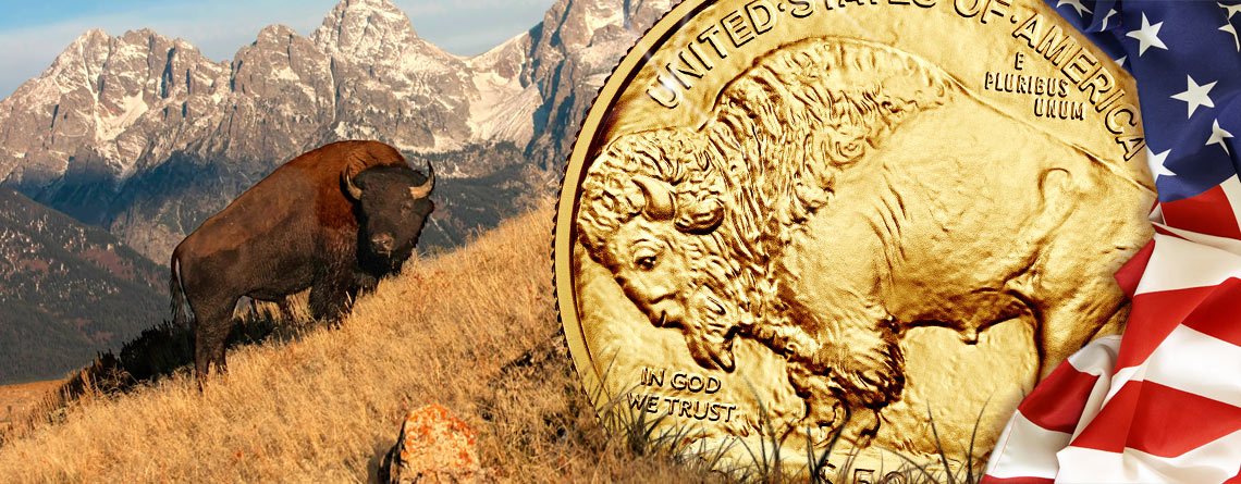 10 Jahre American Buffalo – 2006 bis 2016, ein Jahrzehnt 1 Unze reines USA Gold Büffel