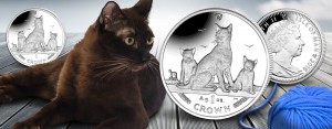 Silbermünze 1 Unze 2016, Isle of Man Cats, Motiv des neuen Jahrgangs 2016 Havana Katze