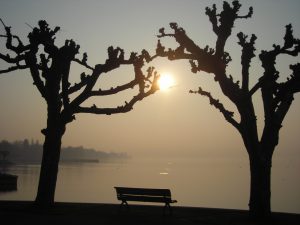 Urlaub am Bodensee Konstanz, Blick von Seestraße