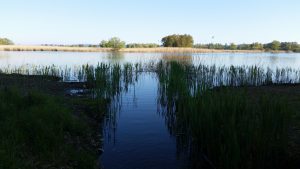 Gottlieben - Blick zum Rhein