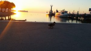 Konstanz - Hafen und Imperia