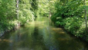 Die Argen, Nähe Kressbronn, Bodenseezufluss