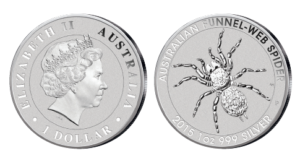 Australien Trichternetzspinne