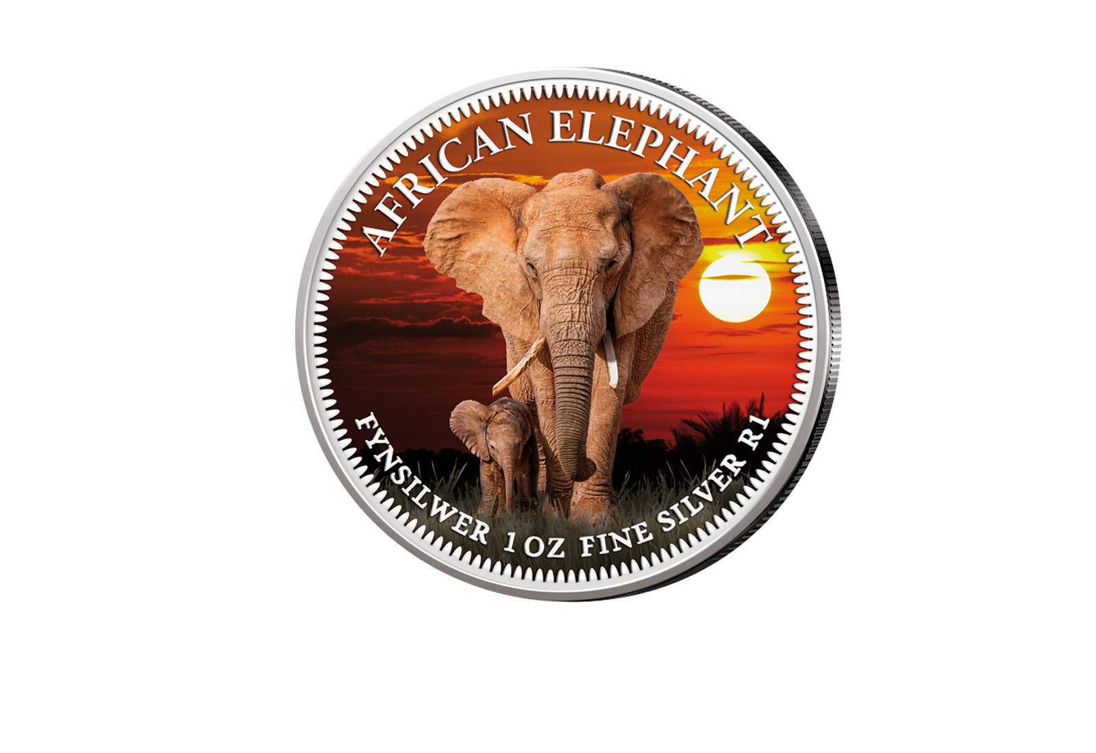 American Eagle 1 oz Silber USA mit Farbmotiv Big Five Elefant