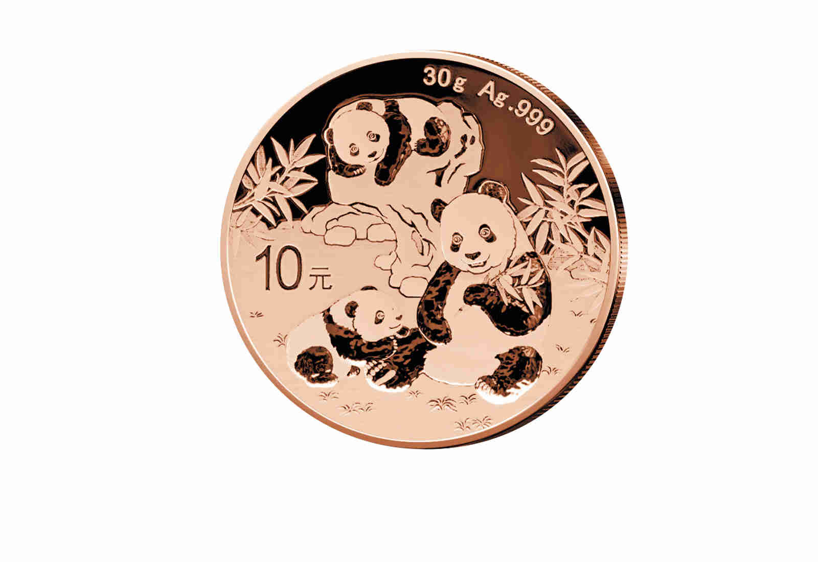 Panda 30 Gramm Silber 2025 China mit Rotgold