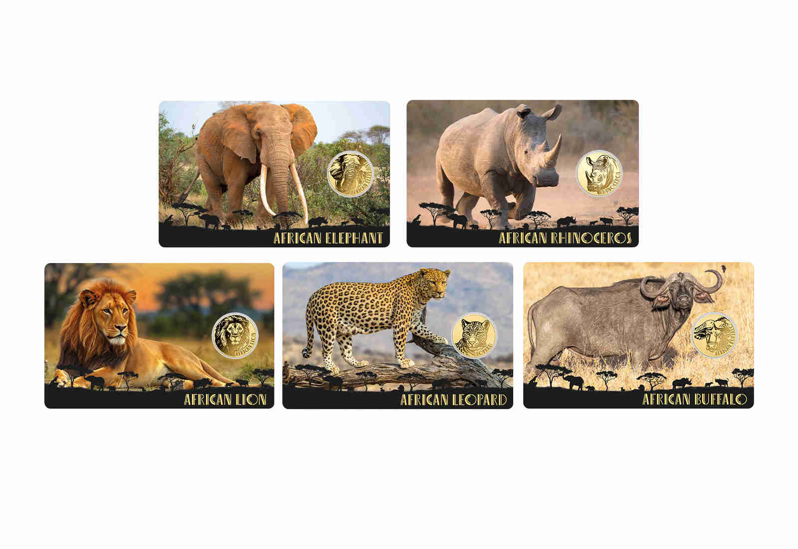 5er Set Goldmünzen Motiv Big Five Afrikas in Coincards Feinheit 999/1000 Gold Geschenk