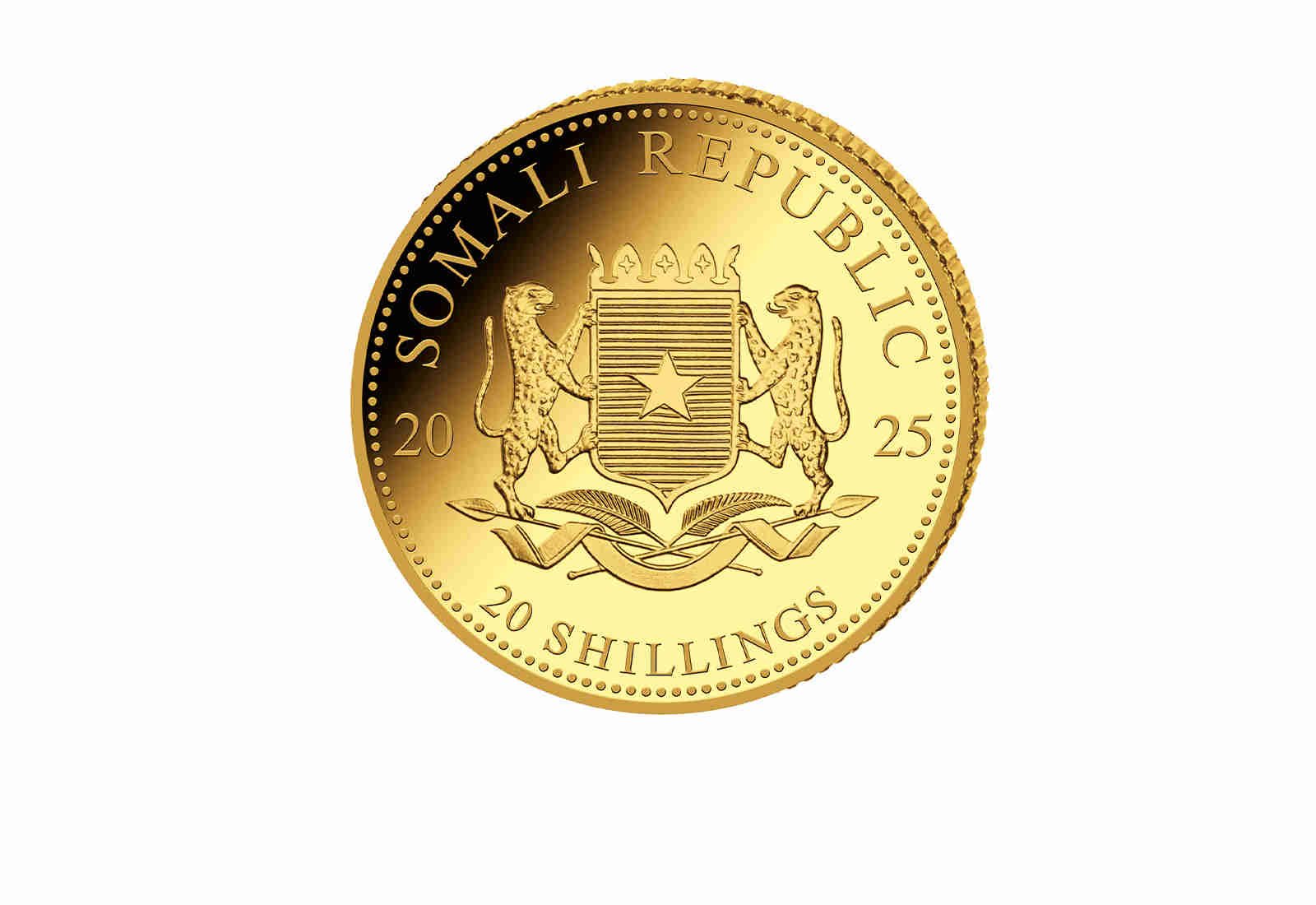 African Wildlife Serie 0,5 g Gold 2025 Somalia Elefant