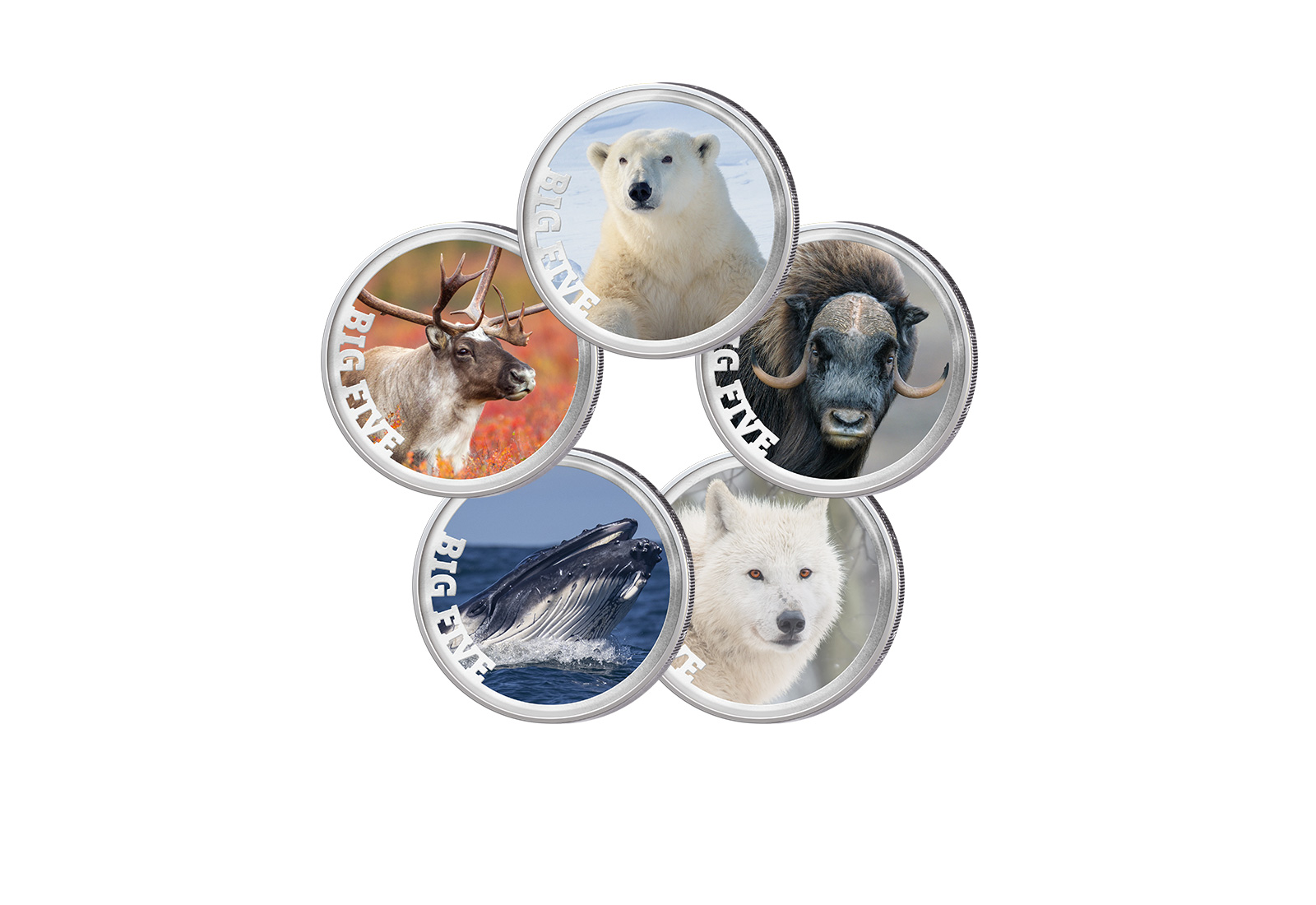 5x 2 Euro Premium-Set Big Five of Greenland im Etui