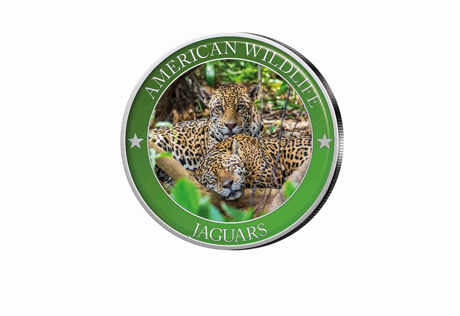 1/2 Dollar USA Jaguar Serie American Wildlife mit Farbapplikation