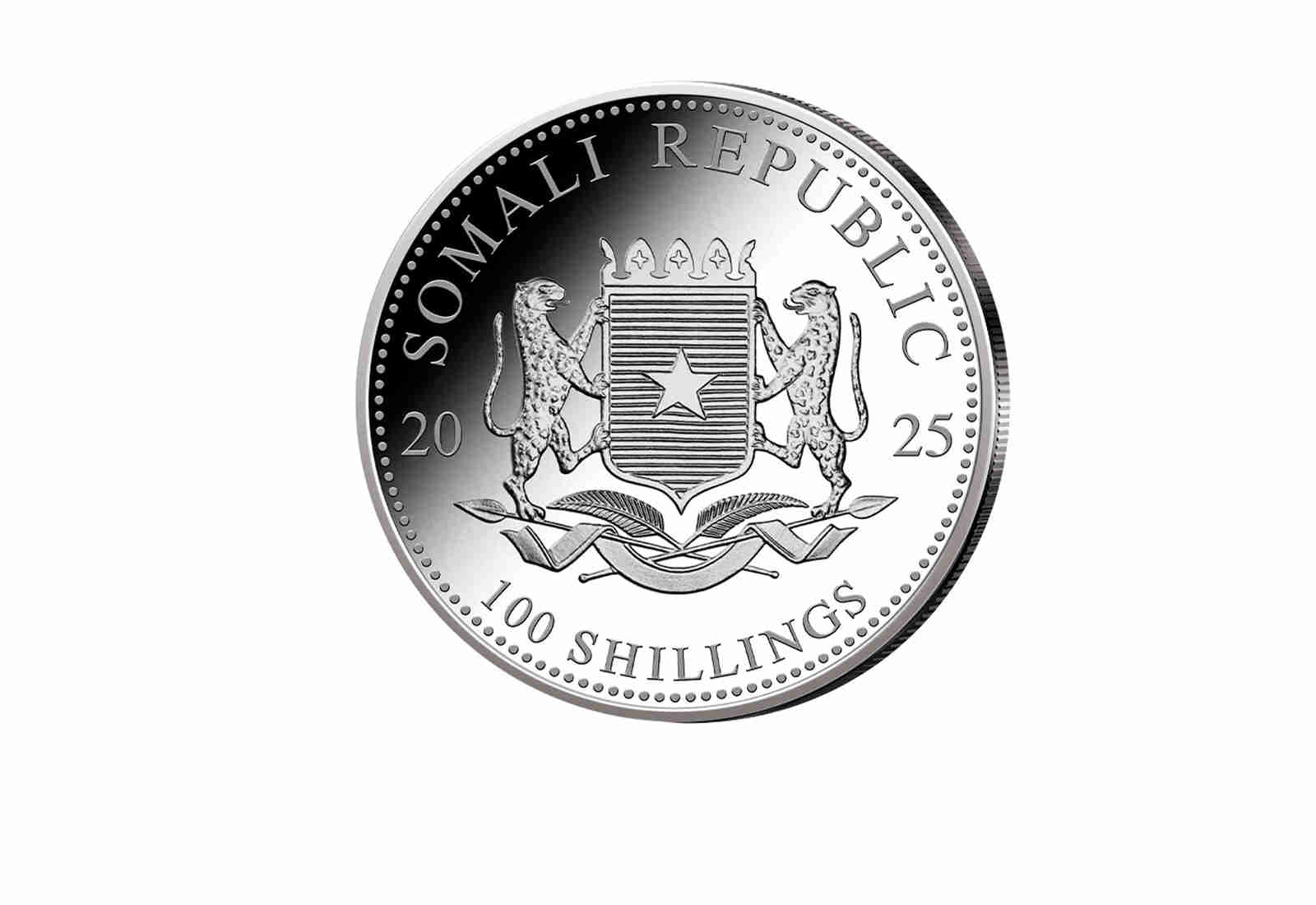 African Wildlife Serie 1 oz Silber 2025 Somalia Elefant
