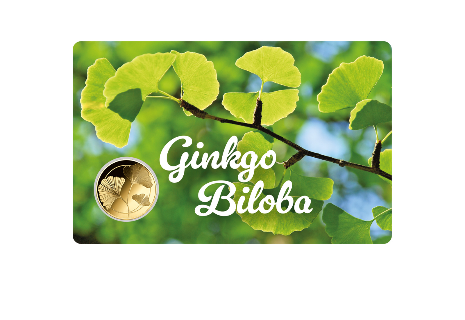 Goldmünze Motiv "Ginkgo Biloba" Coincard 999/1000 Gold Geschenk