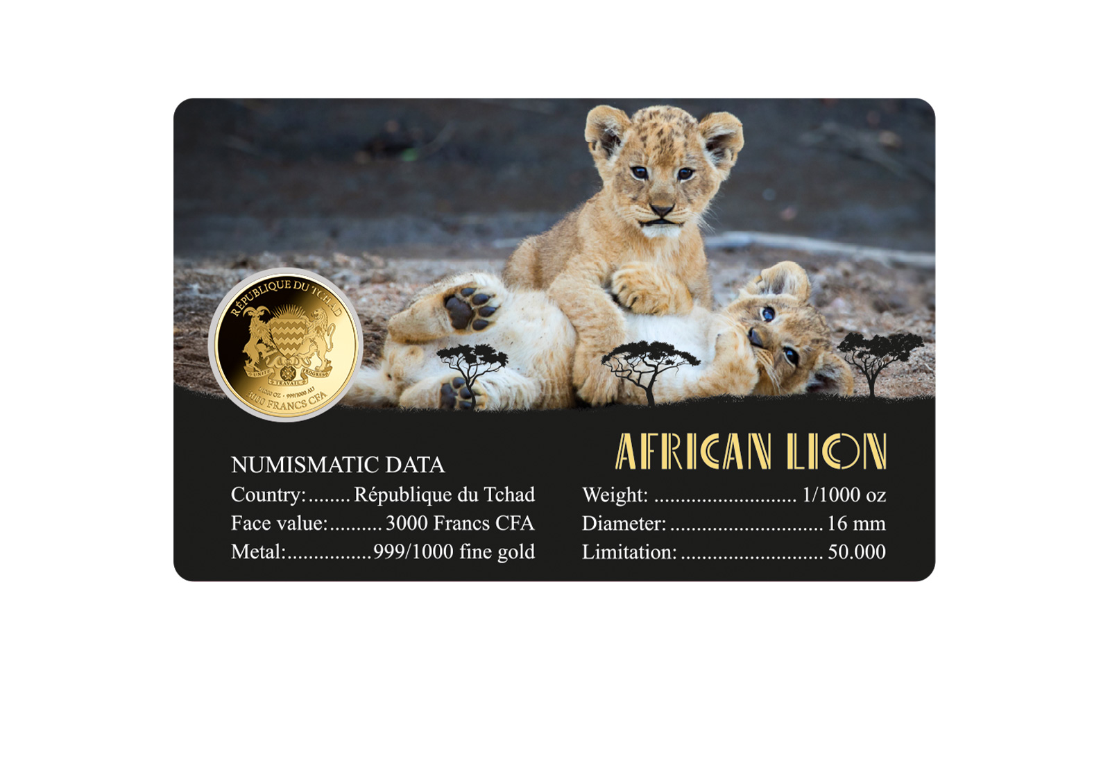Goldmünze Motiv African Lion Coincard Feinheit 999/1000 Gold Geschenk