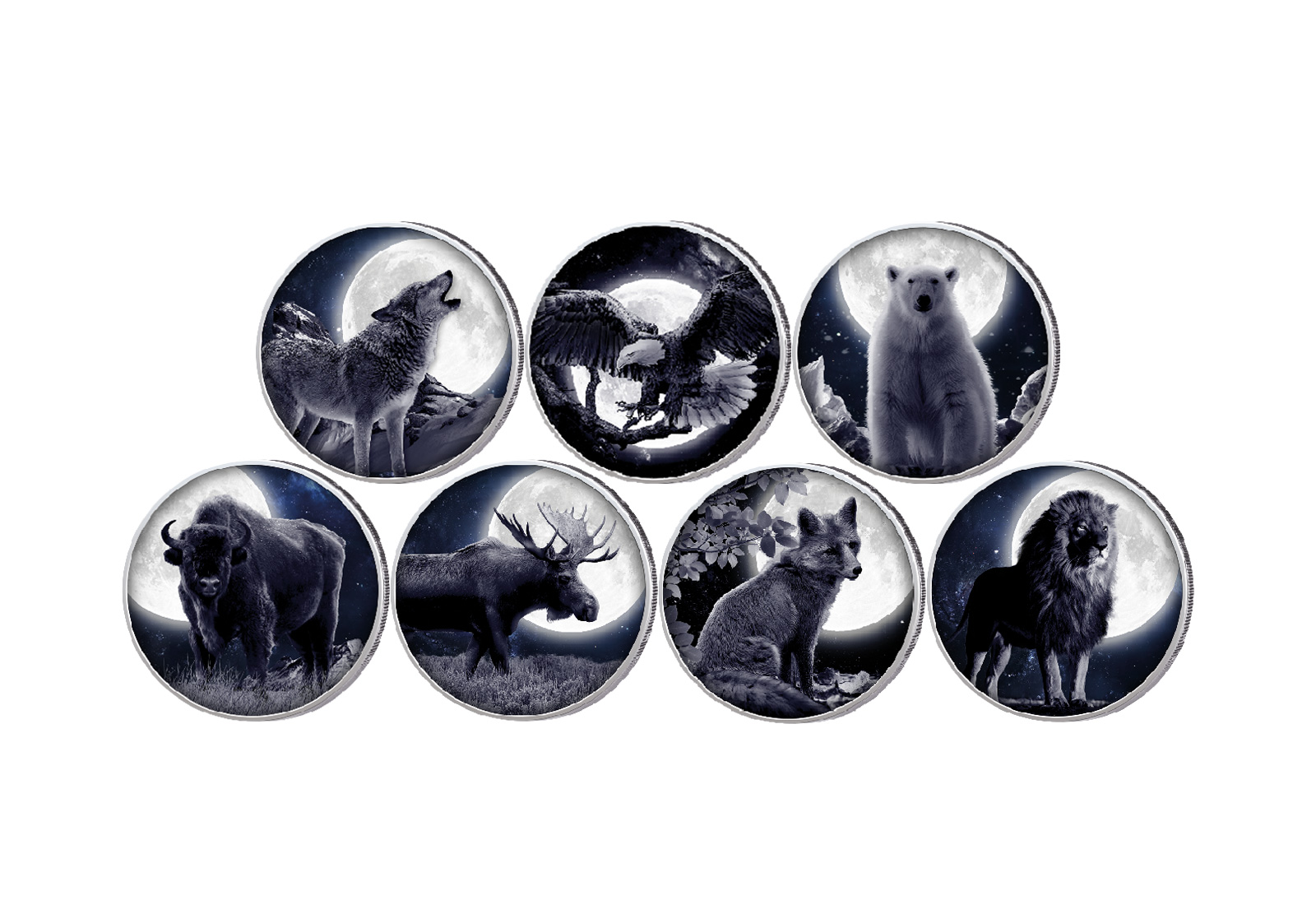 Wilde Tiere im Mondschein 7er Kollektion mit Farbapplikation im Etui inkl. Zertifikat