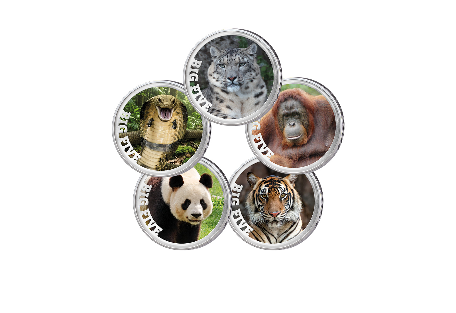 5x 2 Euro Premium-Set Big Five of Asia im Etui