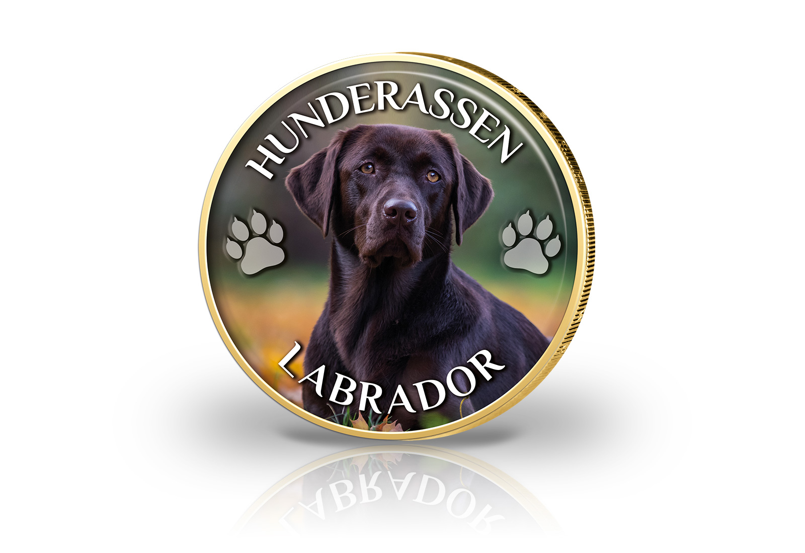 2 Euro mit Farbmotiv und 24 Karat Goldauflage Labrador Retriever