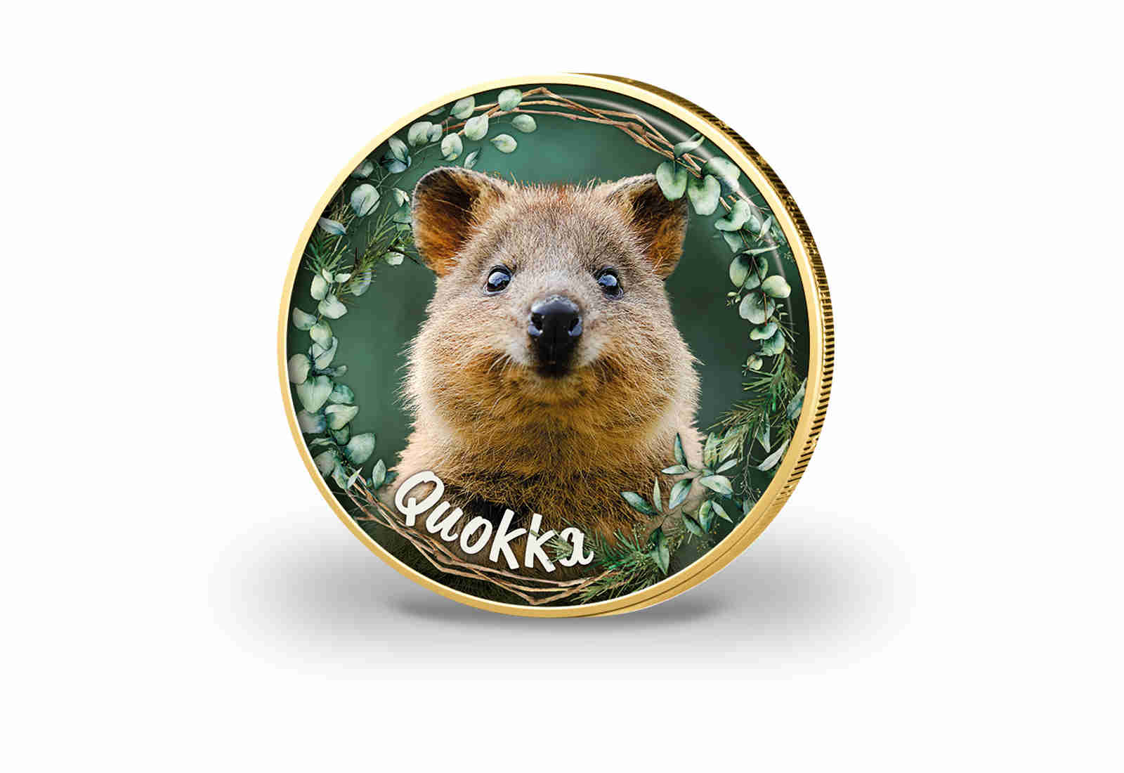 2 Euro vergoldet Quokka mit Farbmotiv