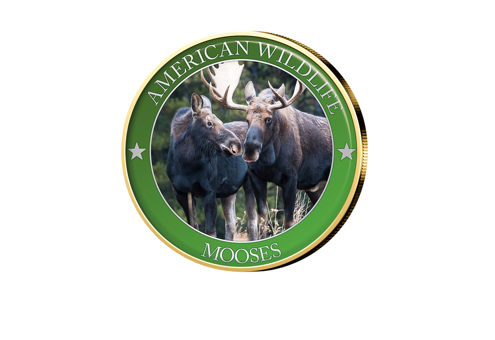 1/2 Dollar USA Moose Serie American Wildlife mit Farbapplikation