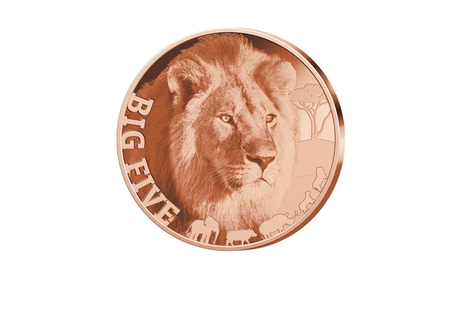 1 oz Kupferausgabe African Lion Big Five of Africa