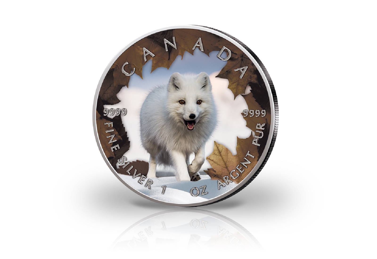 Maple Leaf 1 oz Silber Jahrgang unserer Wahl Kanada mit Farbmotiv Polarfuchs