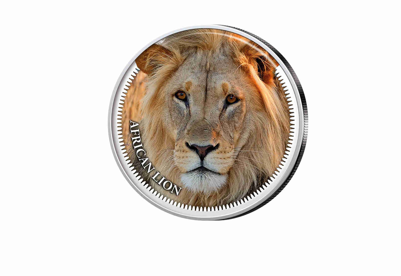 American Eagle 1 oz Silber USA mit Farbmotiv Big Five II Löwe