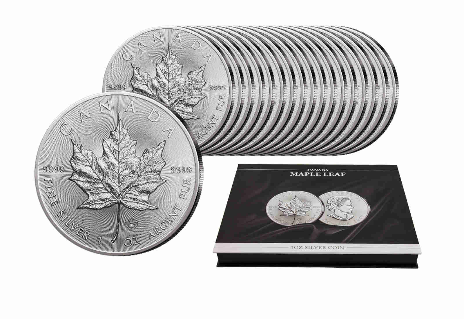 20x Kanada Maple Leaf Silber 2025 - Investment-Set in Kassette