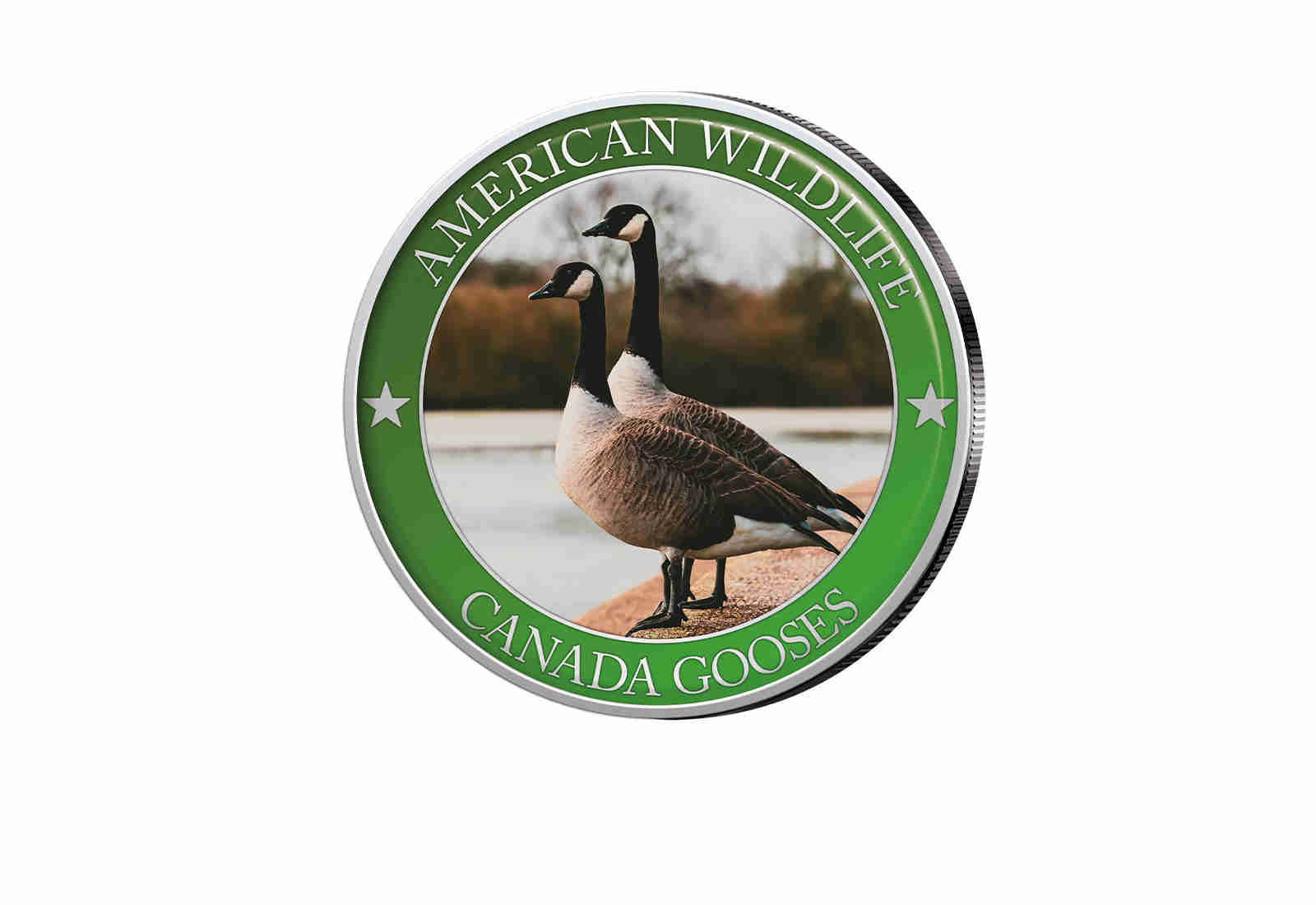 1/2 Dollar USA Canada Goose Serie American Wildlife mit Farbapplikation