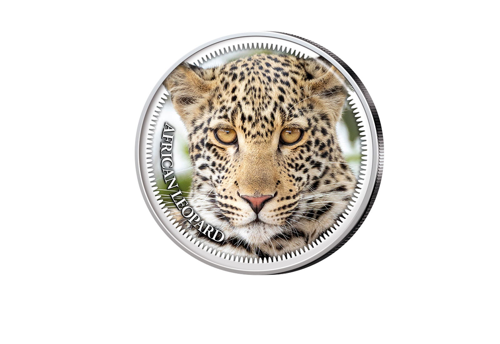 American Eagle 1 oz Silber USA mit Farbmotiv Big Five II Leopard