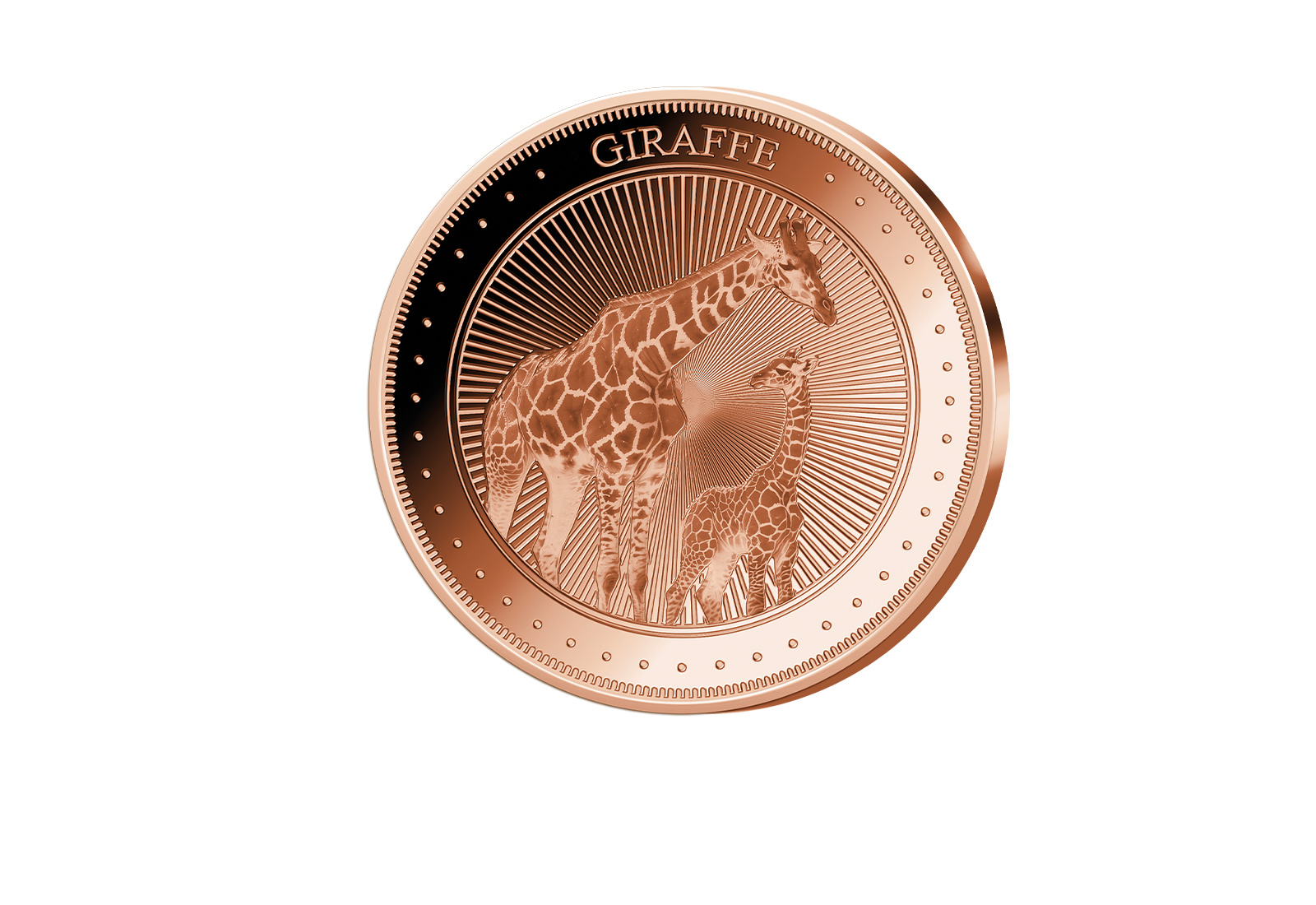 1 oz Kupferausgabe African Giraffe