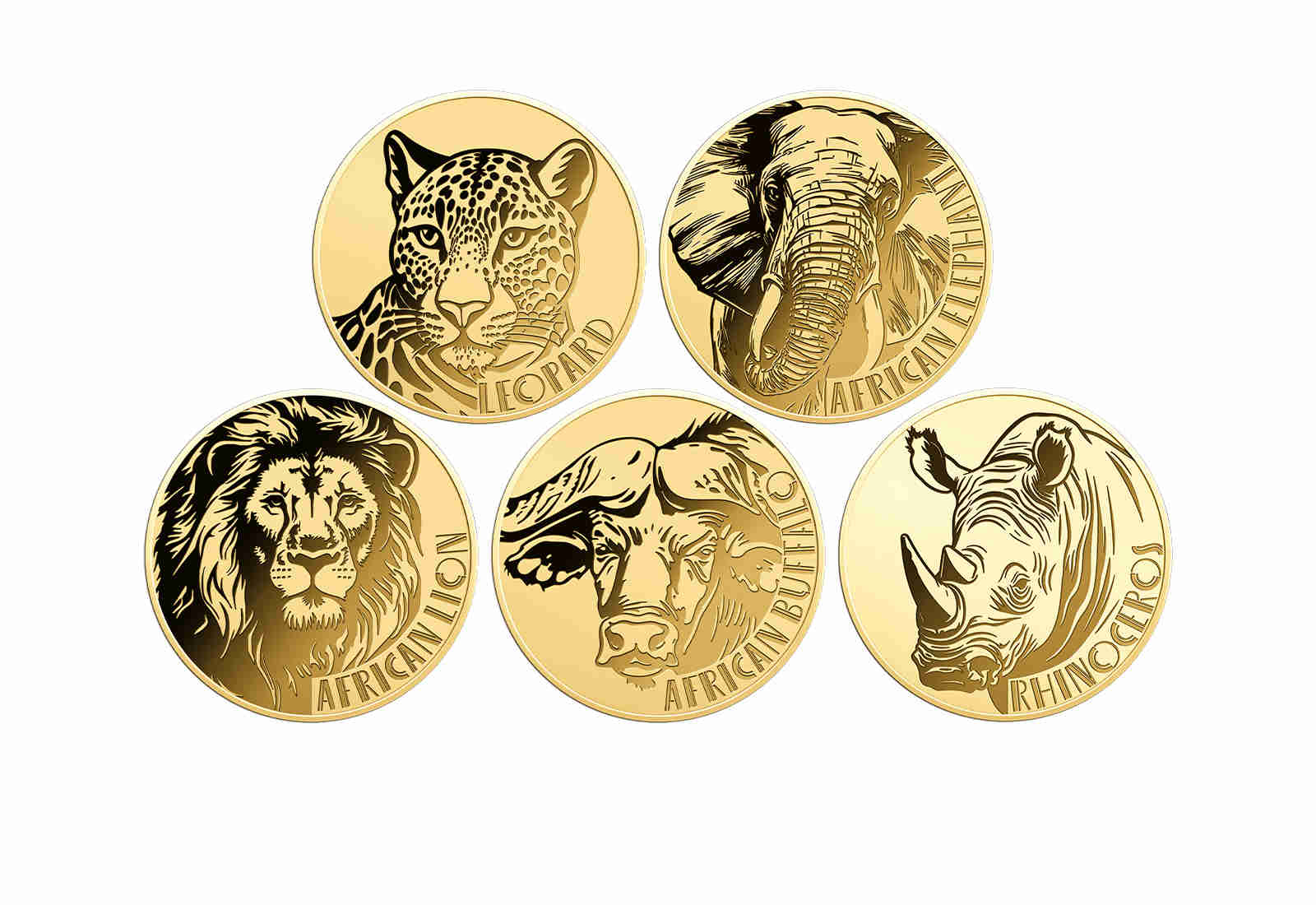 5er Set Goldmünzen Motiv Big Five Afrikas in Coincards Feinheit 999/1000 Gold Geschenk