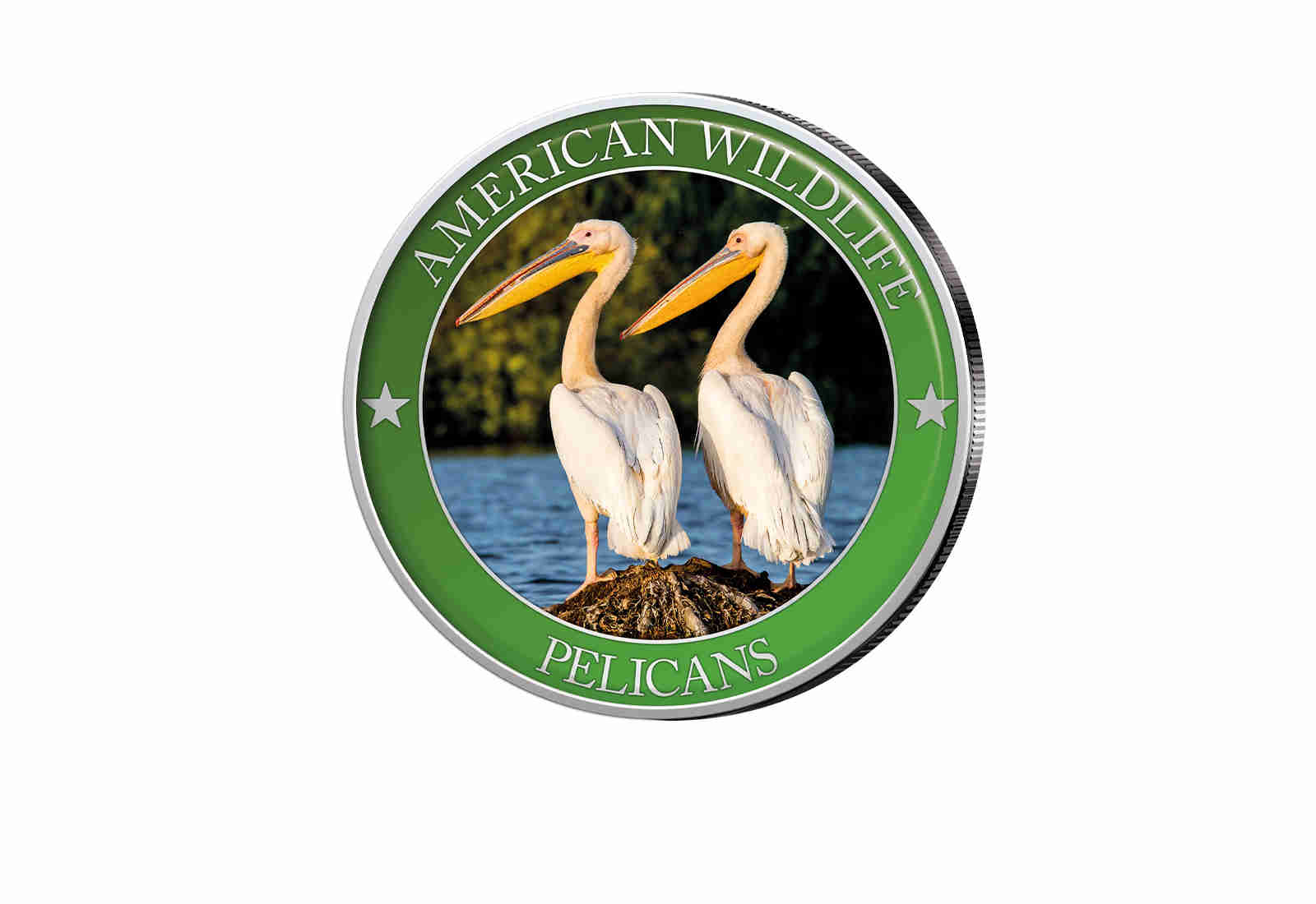 1/2 Dollar USA Pelican Serie American Wildlife mit Farbapplikation