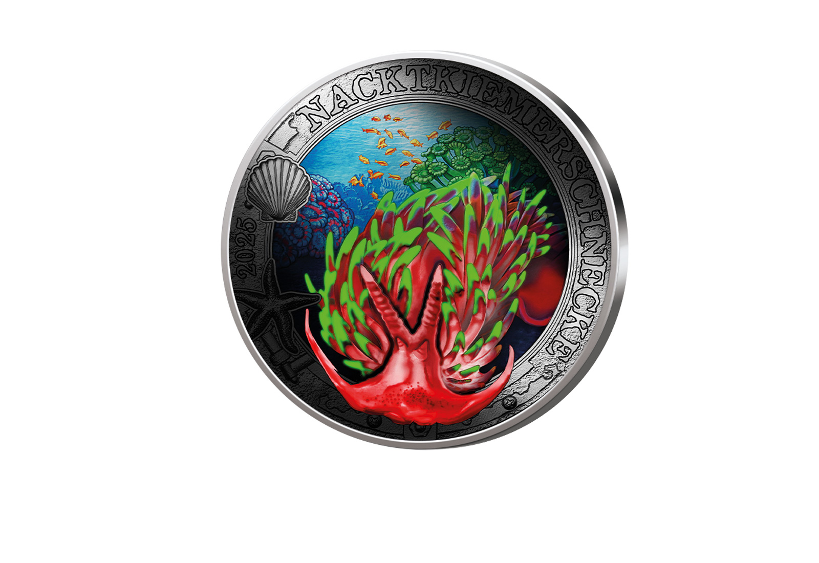 3 Euro 2025 Österreich Nacktkiemerschnecke