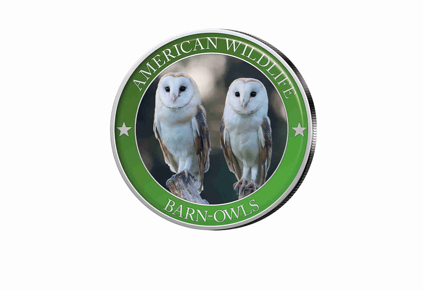 1/2 Dollar USA Barn Owl Serie American Wildlife mit Farbapplikation