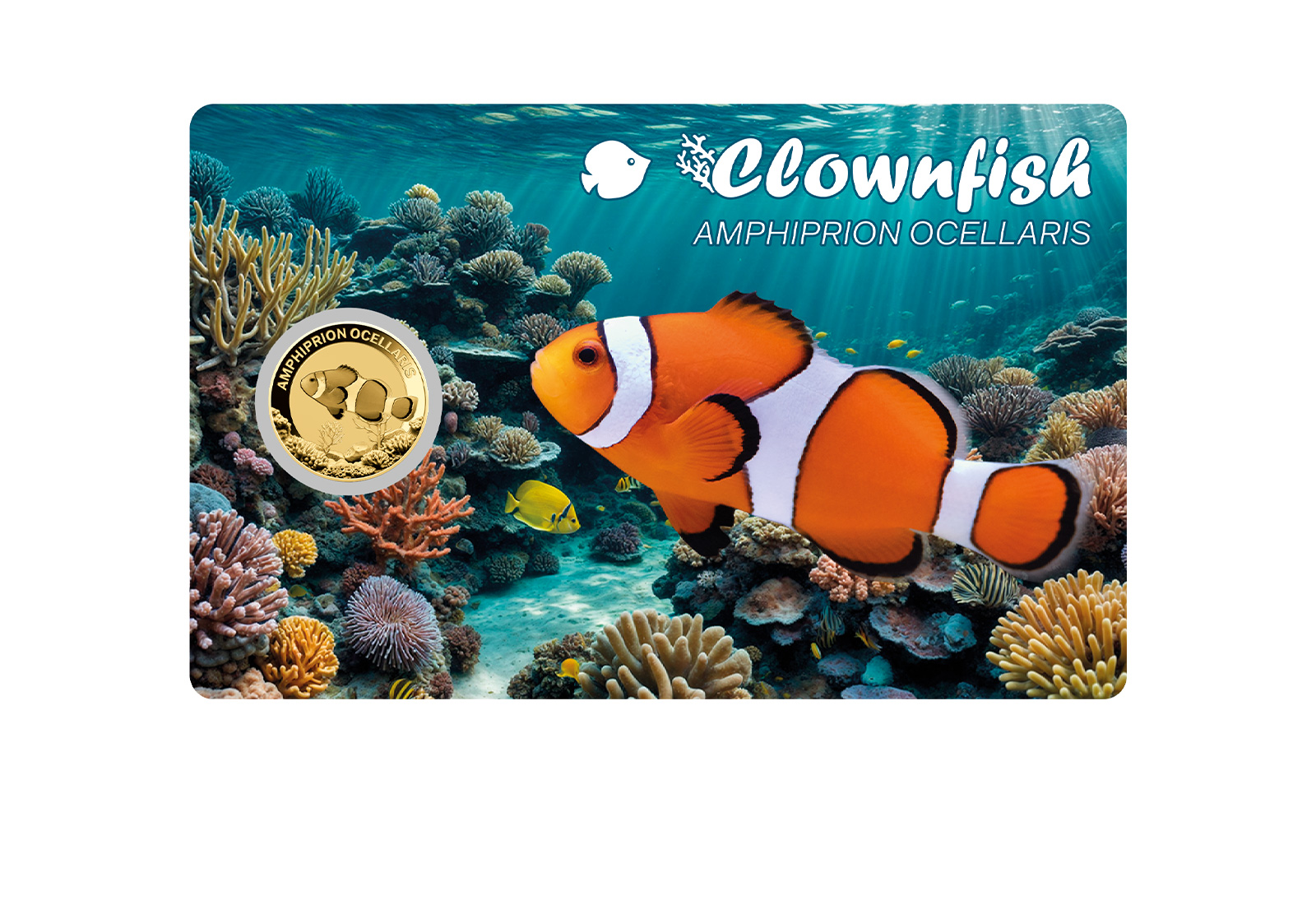 Goldmünze Motiv Clownfisch Coincard 999/1000 Gold Geschenk