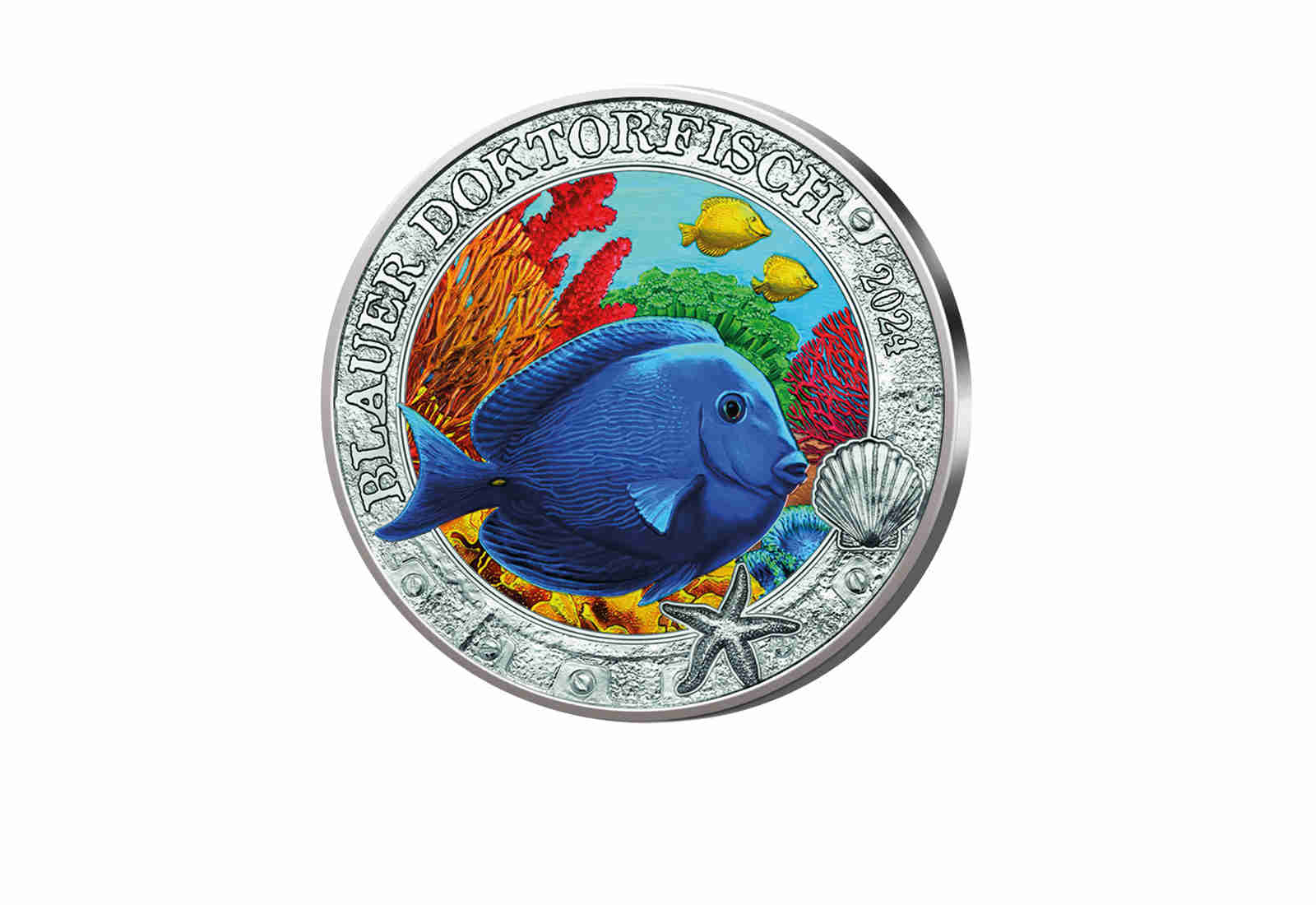 3 Euro 2024 Österreich Blauer Doktorfisch bfr.