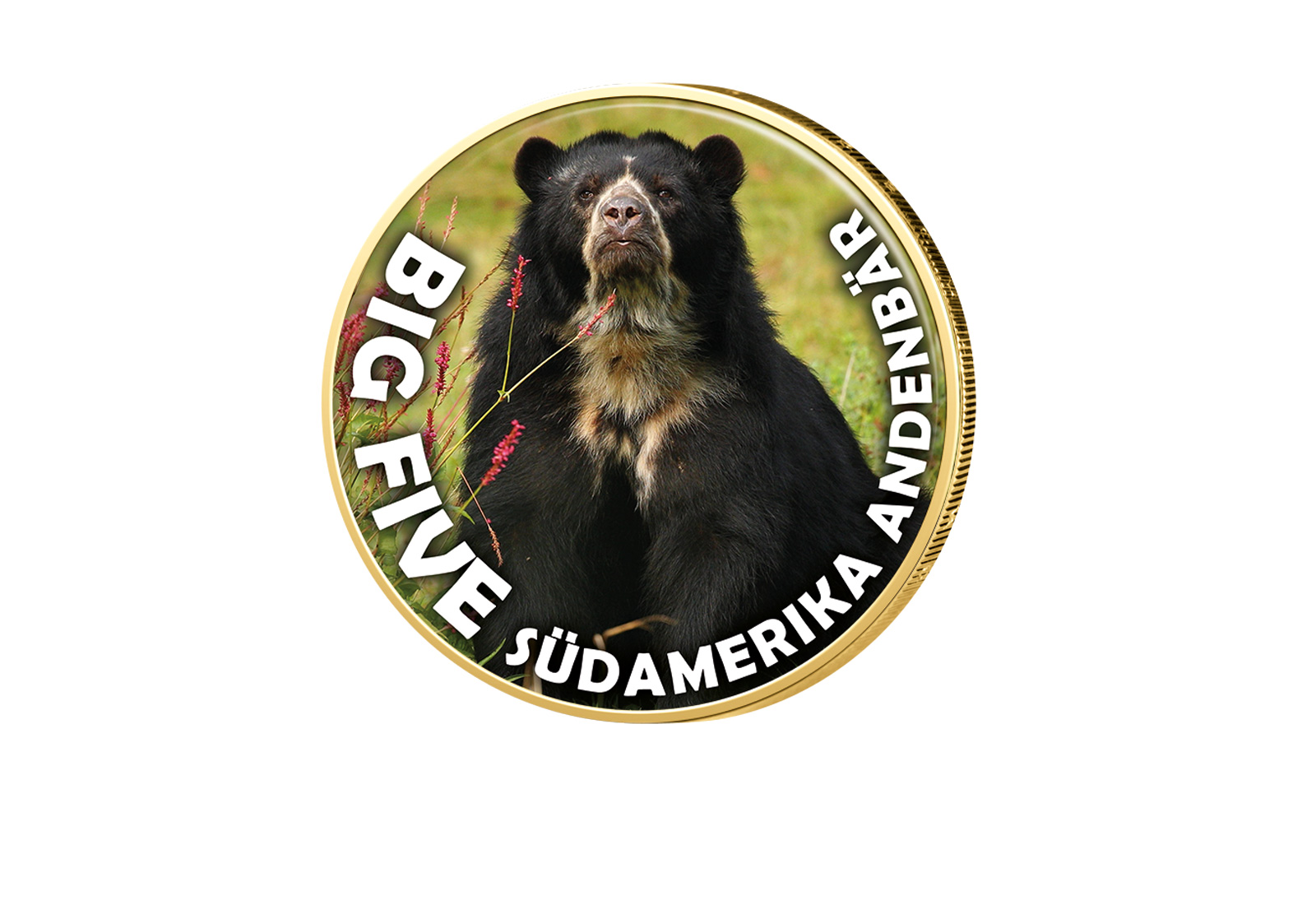 2 Euro vergoldet Big Five Südamerika Andenbär