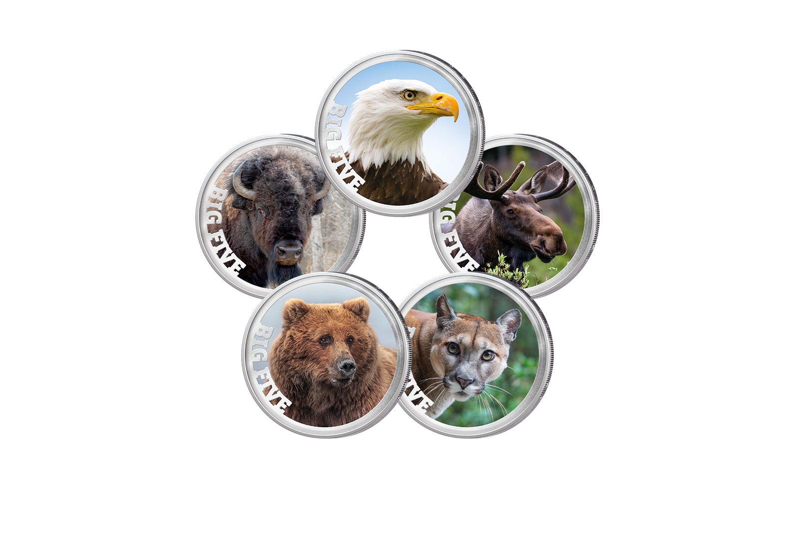 5x 2 Euro Premium-Set Big Five of America im Etui