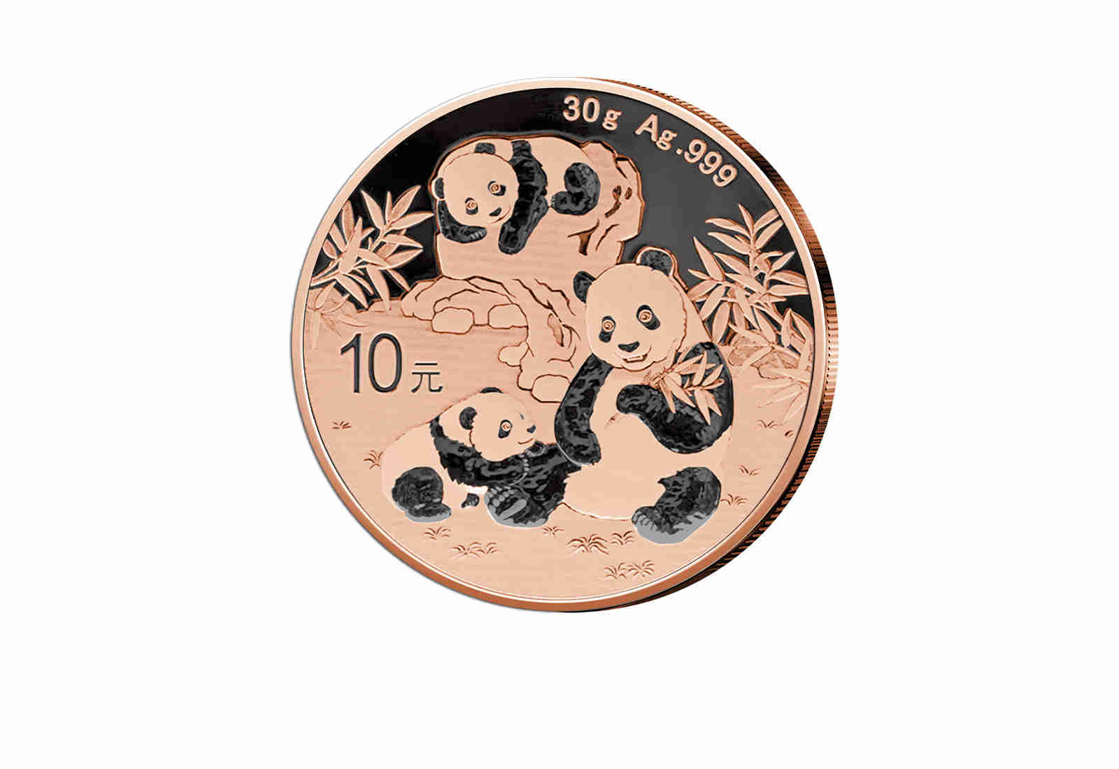 Panda 30 g Silber 2025 China Schwarz-Ruthenium und Rotgoldapplikation