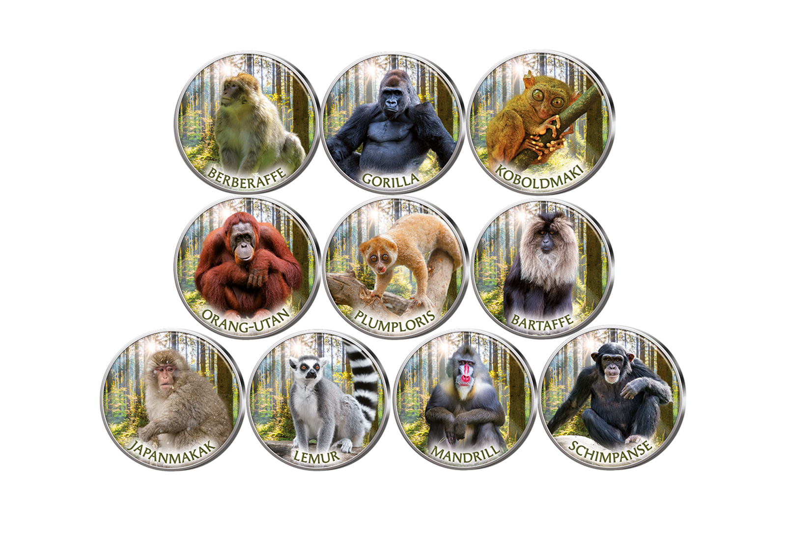 Die Welt der Affen 10er Kollektion mit Farbmotiv im Etui inkl. Zertifikat