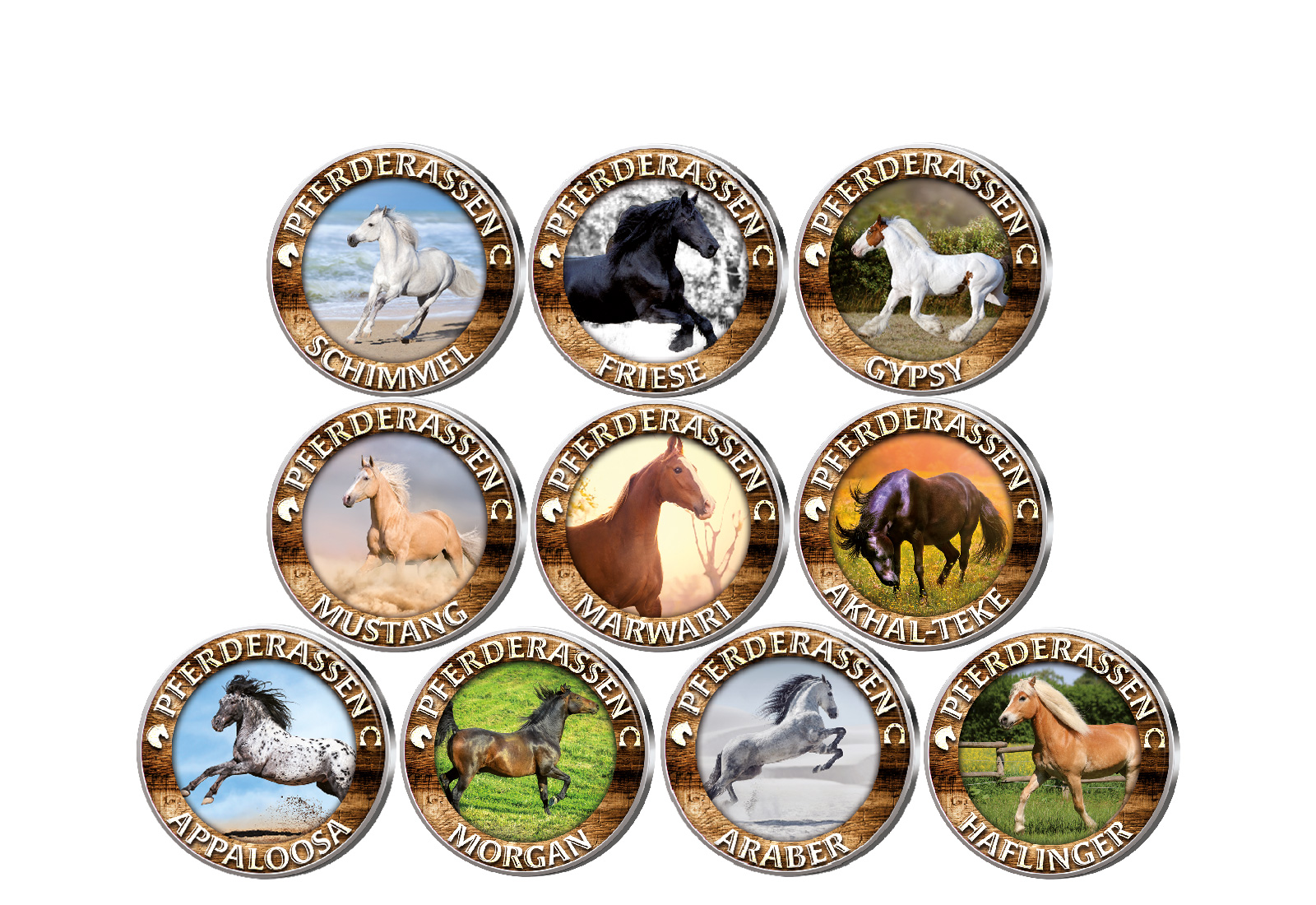 Pferderassen 10er Kollektion mit Farbmotiv im Etui inkl. Zertifikat