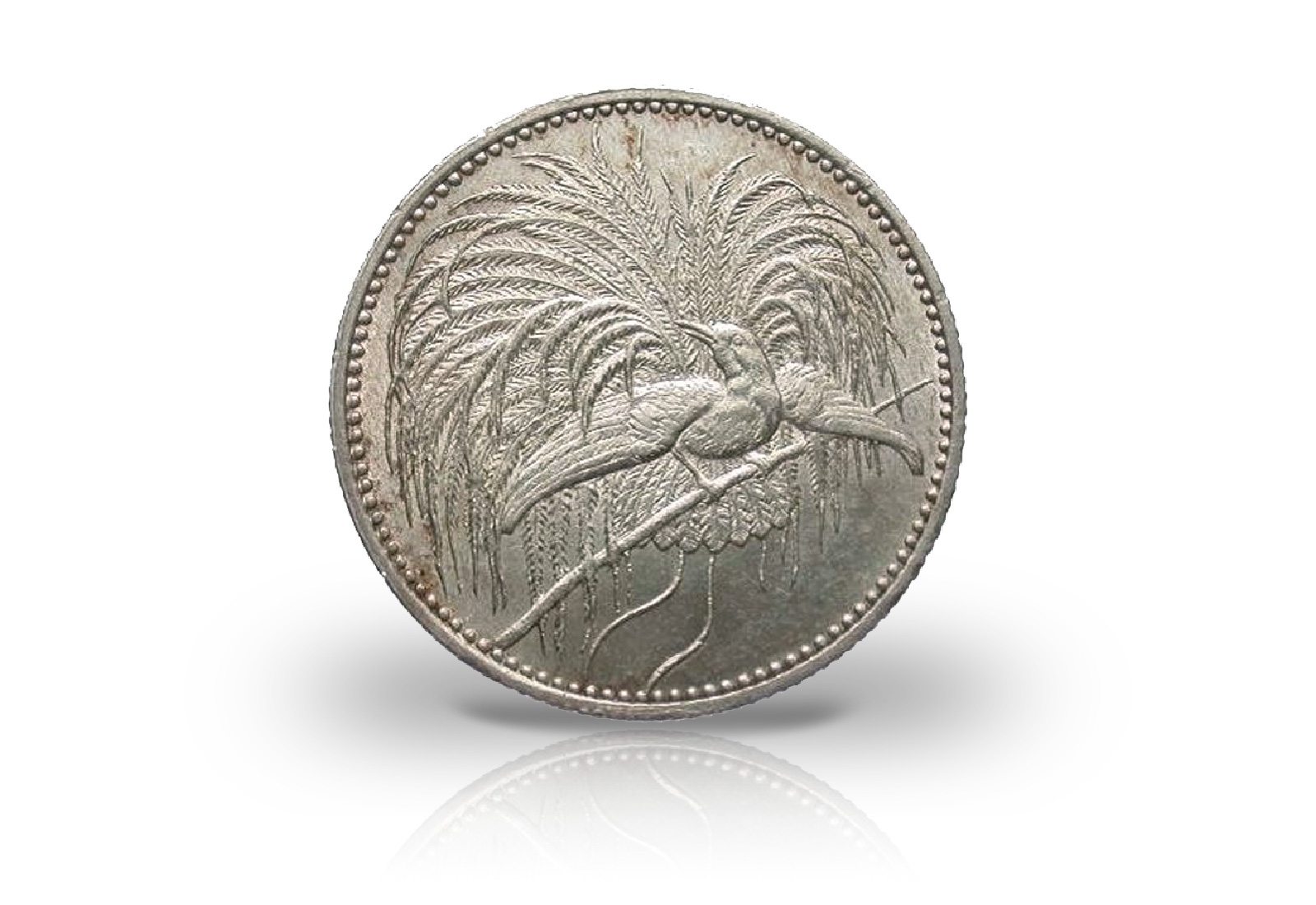 1/2 Mark 1894 Deutsch-Neuguinea Paradiesvogel Jaeger-Nr. 704