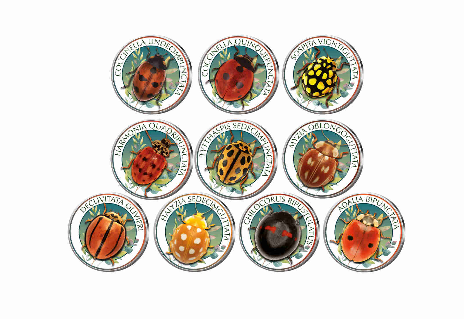 World of Ladybirds II 10er Kollektion mit Farbmotiv im Etui inkl. Zertifikat