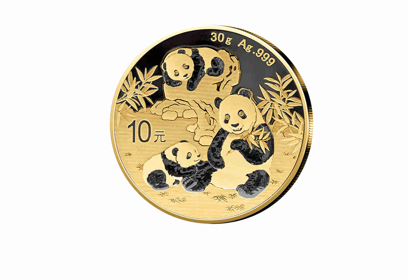 Panda 30 Gramm Silber 2025 China mit Ruthenium und 24 Karat Goldapplikation