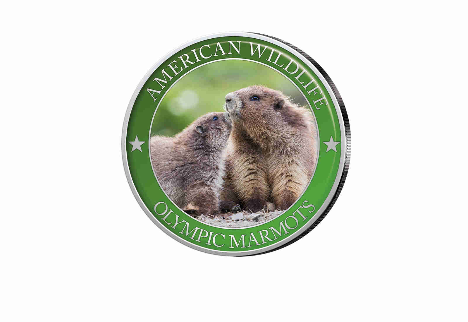 1/2 Dollar USA Olympic Marmot Serie American Wildlife mit Farbapplikation