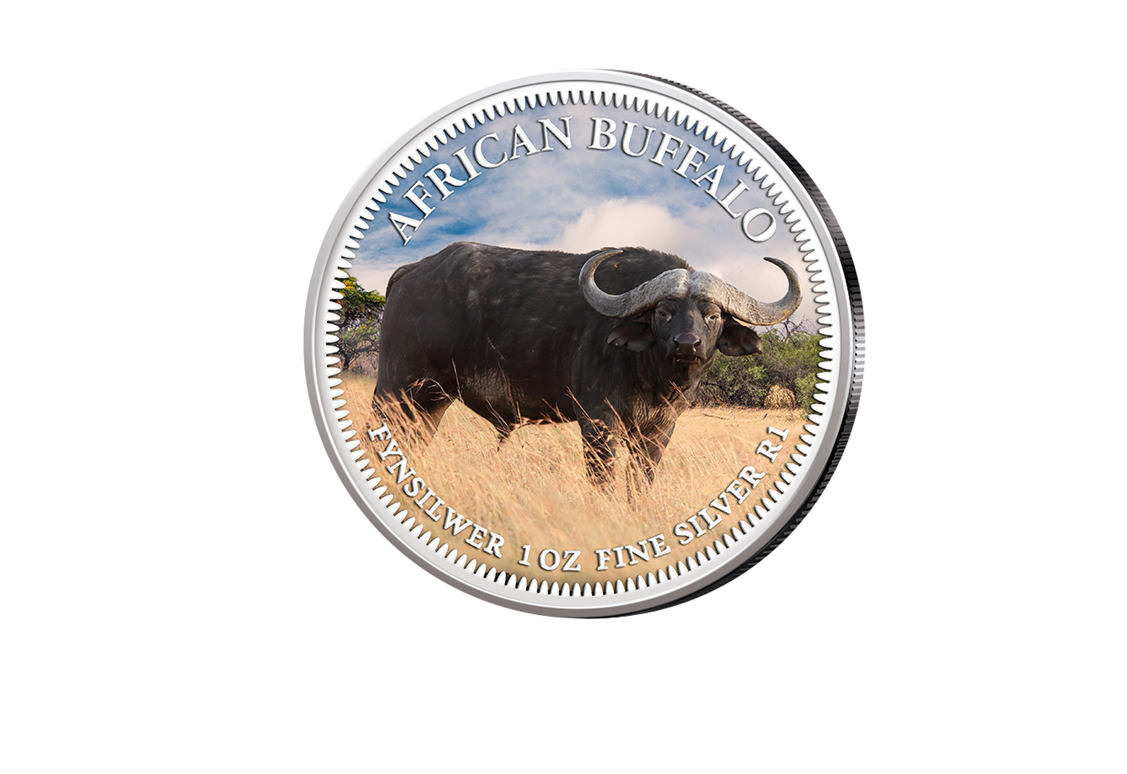 American Eagle1 oz Silber USA mit Farbmotiv Big Five I Büffel