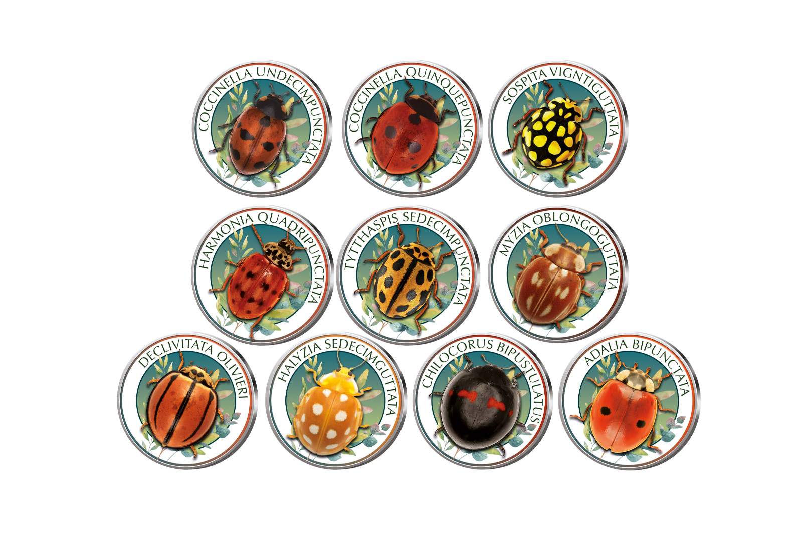 World of Ladybirds II 10er Kollektion mit Farbmotiv im Etui inkl. Zertifikat