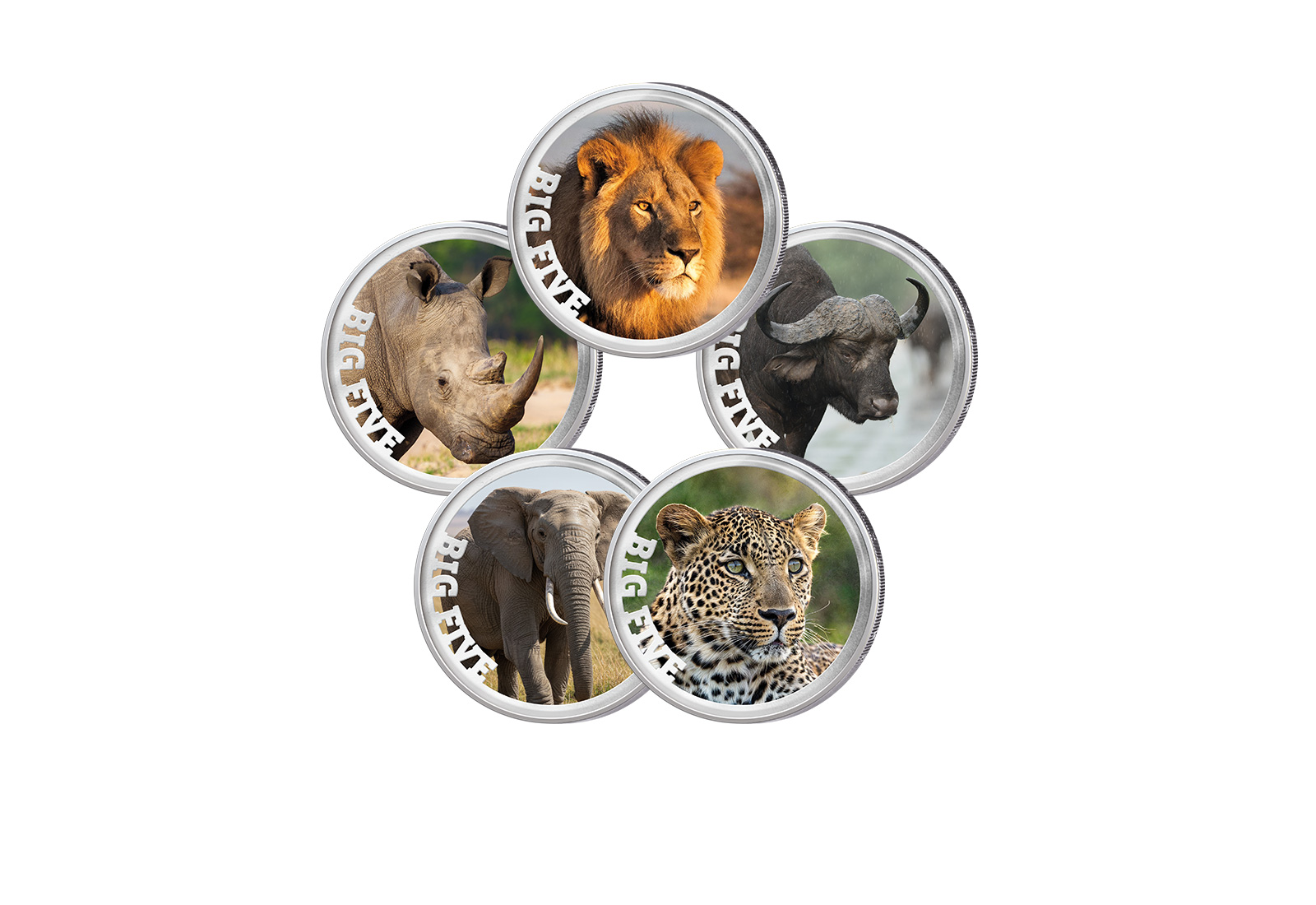 5x 2 Euro Premium-Set Big Five of Africa im Etui
