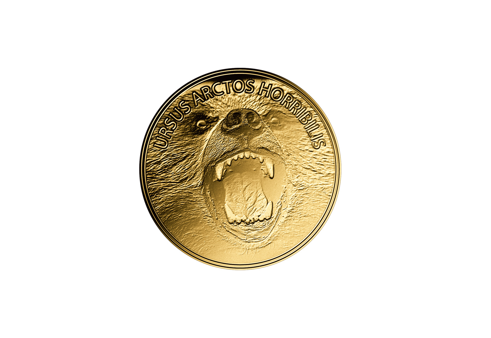 Goldmünze Motiv Grizzlybär 999/1000 Gold Geschenk