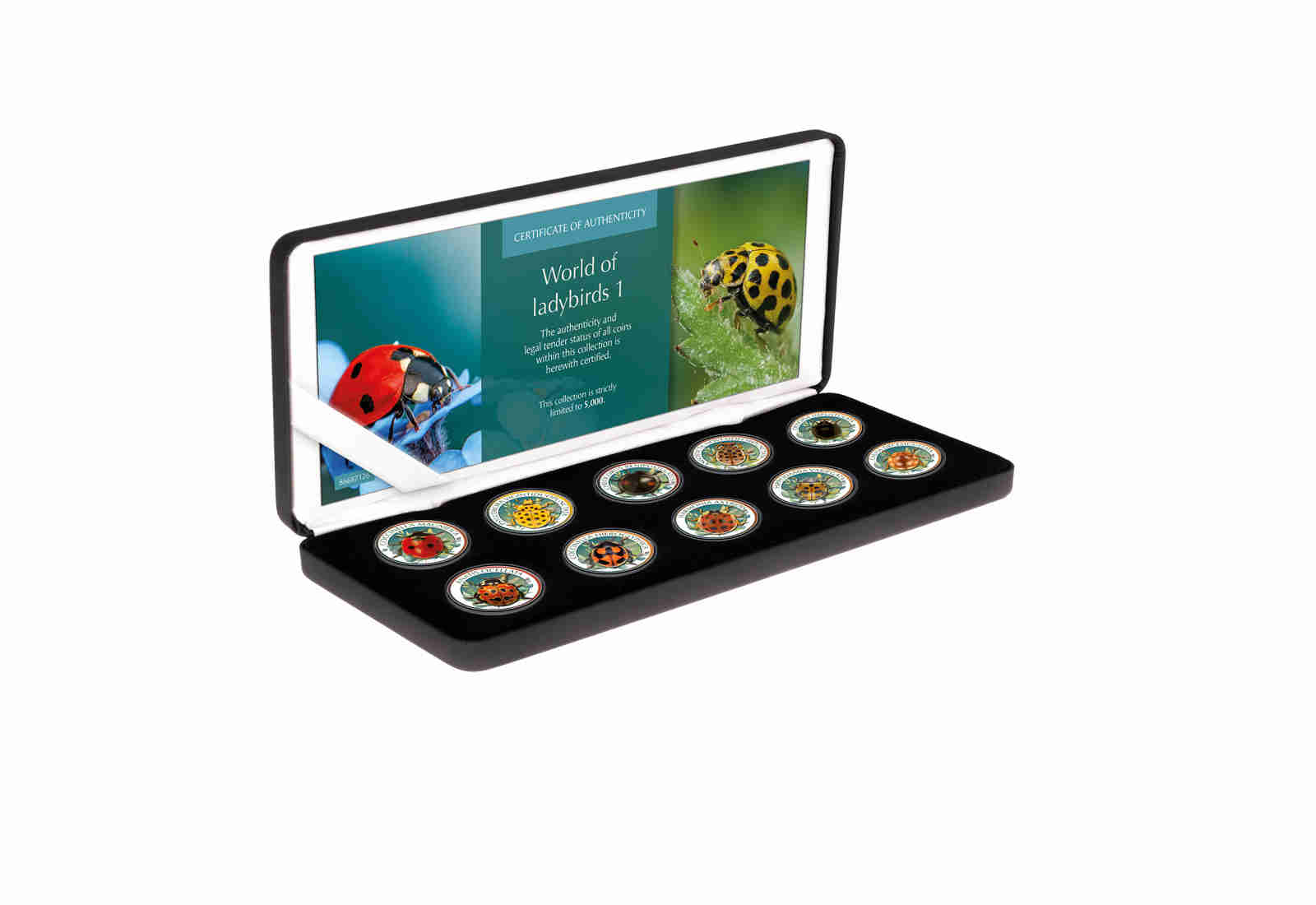 World of Ladybirds I 10er Kollektion mit Farbmotiv im Etui inkl. Zertifikat