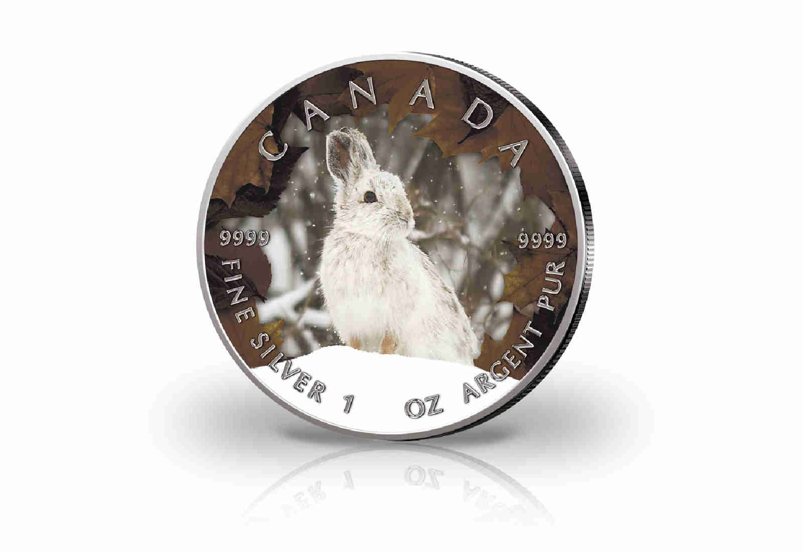 Maple Leaf 1 oz Silber Jahrgang unserer Wahl Kanada mit Farbapplikation Schneehase