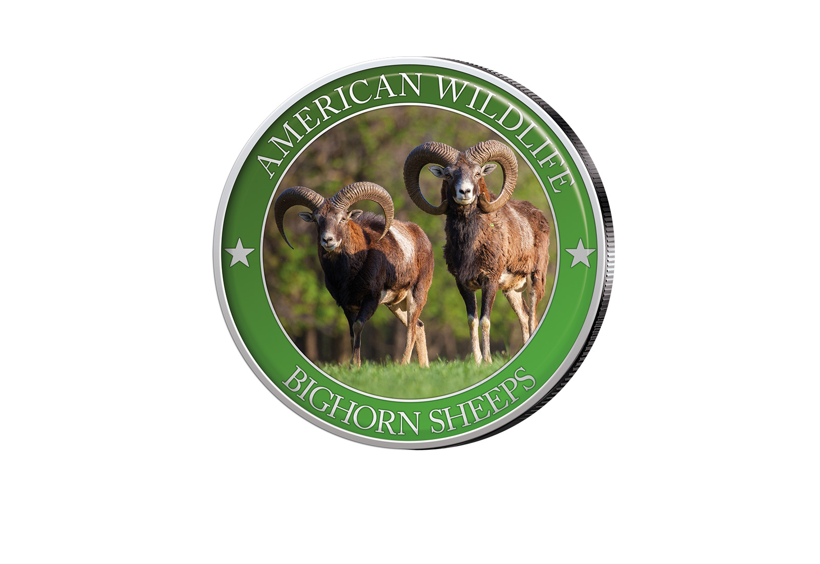 1/2 Dollar USA Bighorn Sheep Serie American Wildlife mit Farbapplikation